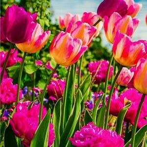 Meet your Posher, Jeanne